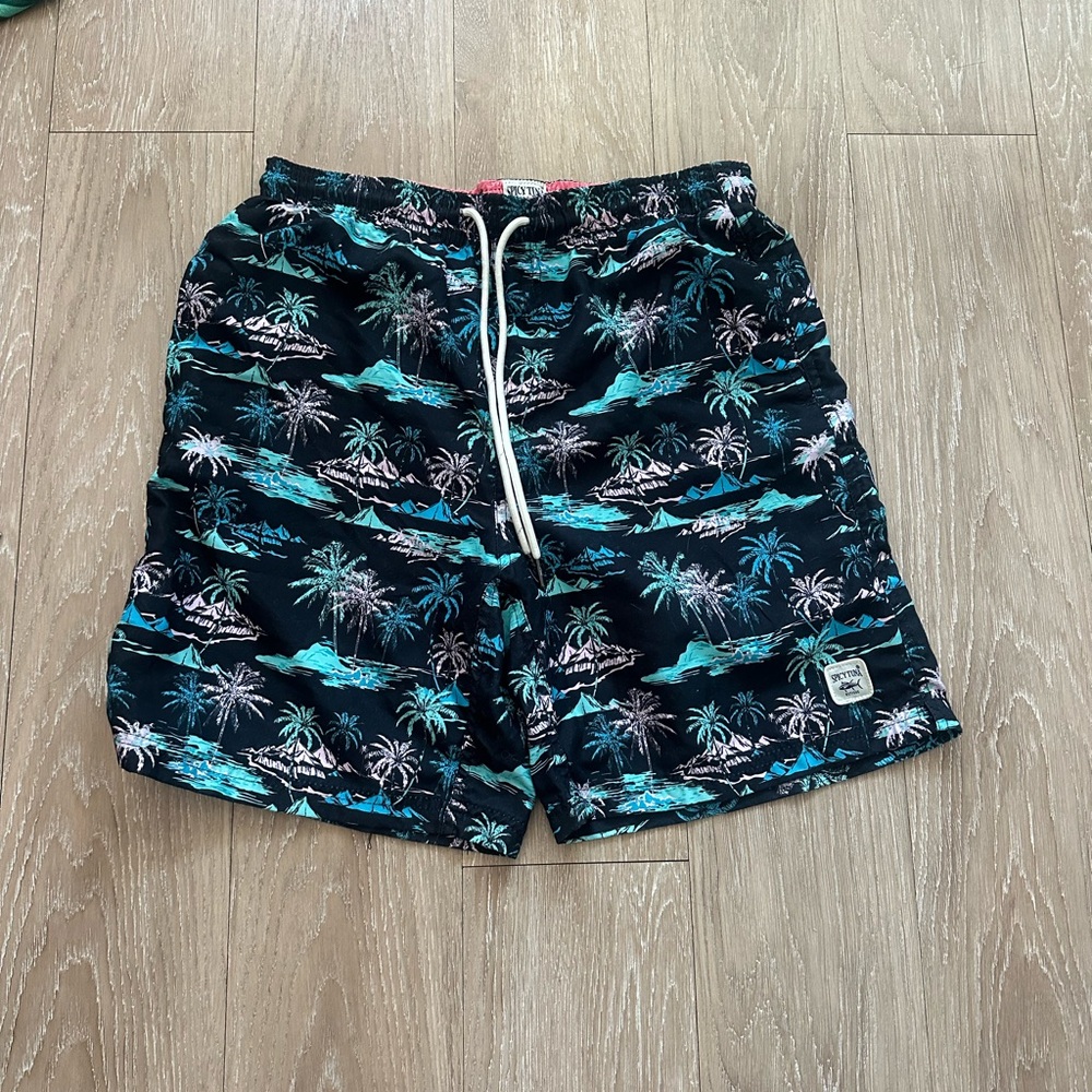 Never worn Spicy Tina Swim trunks